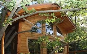 Les Cabanes En Provence